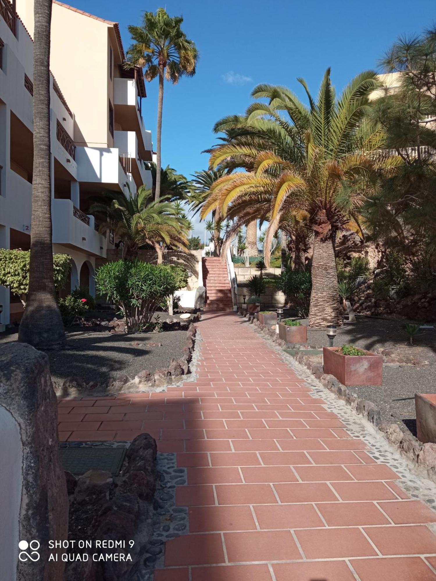 Las Meninas Tenerife ซานมิเกลเดียโบนา ห้อง รูปภาพ